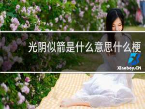 光阴似箭是什么意思什么梗