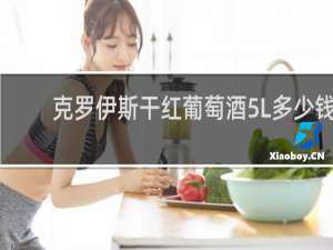 克罗伊斯干红葡萄酒5L多少钱
