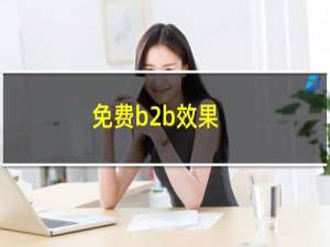 免费b2b效果