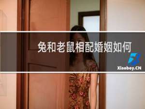 兔和老鼠相配婚姻如何