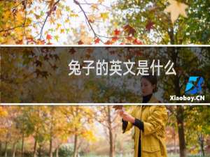 兔子的英文是什么
