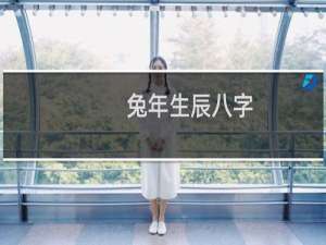 兔年生辰八字