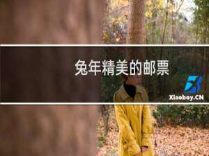 兔年精美的邮票