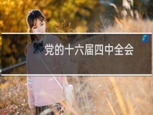 党的十六届四中全会