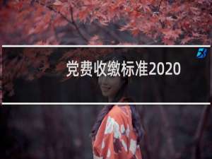 党费收缴标准2020比例（党费收缴标准2018）