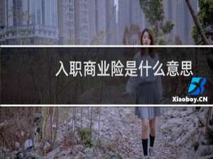 入职商业险是什么意思