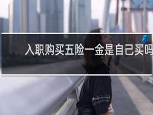 入职购买五险一金是自己买吗