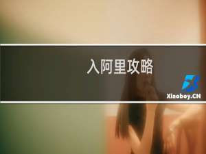 入阿里攻略