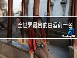 全世界最贵的白酒前十名