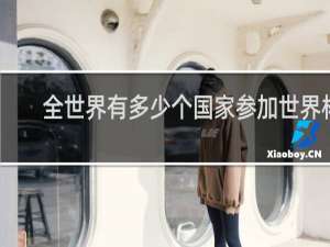 全世界有多少个国家参加世界杯