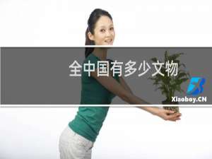全中国有多少文物