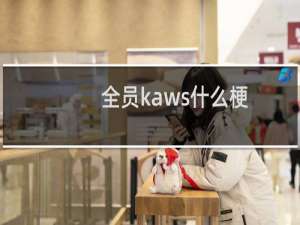 全员kaws什么梗？全员kaws是什么意思什么梗