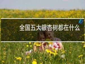 全国五大银杏树都在什么地方