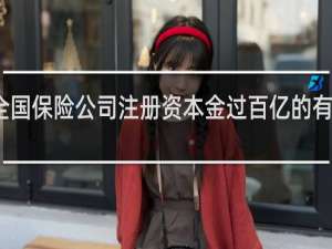 全国保险公司注册资本金过百亿的有哪几家