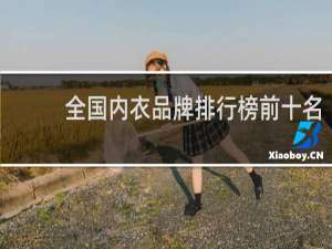 全国内衣品牌排行榜前十名