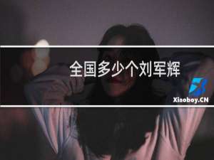 全国多少个刘军辉