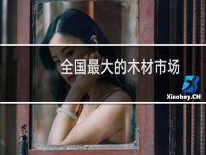 全国最大的木材市场
