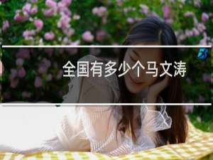 全国有多少个马文涛