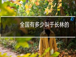 全国有多少叫于长林的
