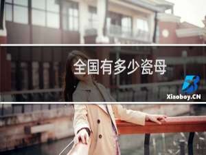 全国有多少瓷母