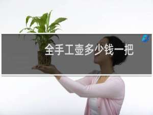 全手工壶多少钱一把