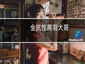 全抗性黑羽大哥
