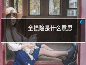 全损险是什么意思