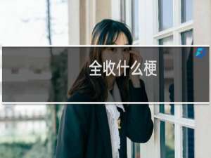 全收什么梗