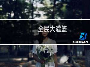 【全民大灌篮（手游电脑版）】免费全民大灌篮（手游电脑版）软件下载