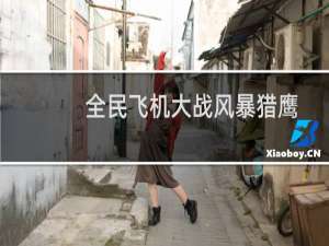 全民飞机大战风暴猎鹰深度解析