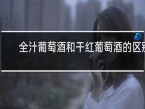 全汁葡萄酒和干红葡萄酒的区别