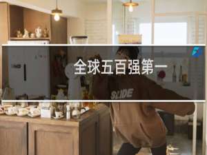 全球五百强第一
