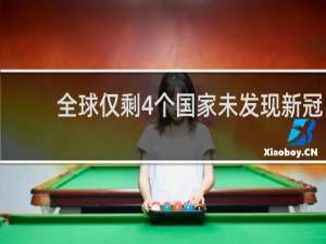 全球仅剩4个国家未发现新冠