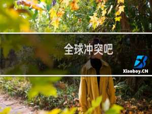 全球冲突吧