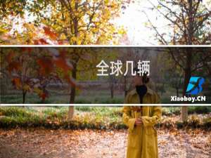 全球几辆