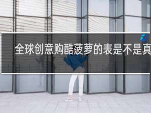 全球创意购酷菠萝的表是不是真的