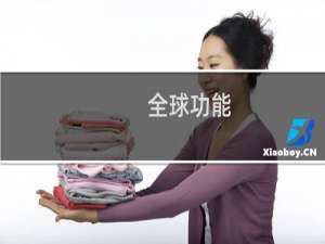 全球功能