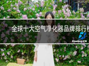 全球十大空气净化器品牌排行榜