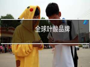 全球叶酸品牌