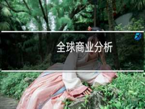 全球商业分析