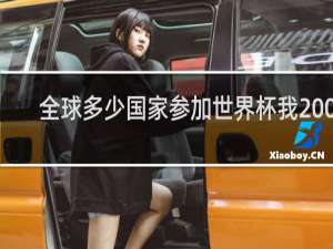 全球多少国家参加世界杯我2002
