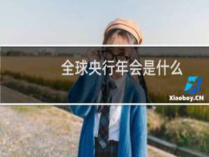 全球央行年会是什么