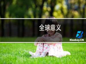 全球意义