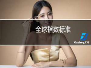 全球指数标准