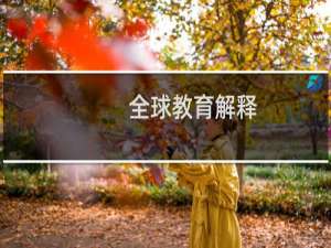 全球教育解释