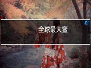 全球最大鳖