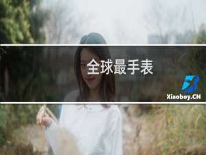 全球最手表
