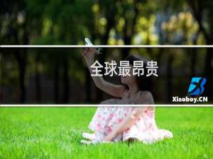 全球最昂贵