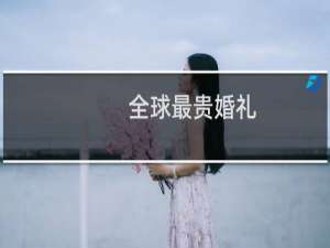 全球最贵婚礼
