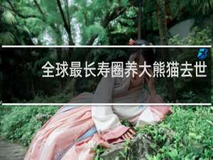 全球最长寿圈养大熊猫去世
